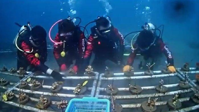 World Ocean Day, Reeformers Gelar Transplantasi Karang Perairan Malalayang Manado