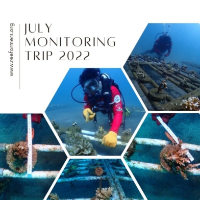 Monitoring Trip July 2022