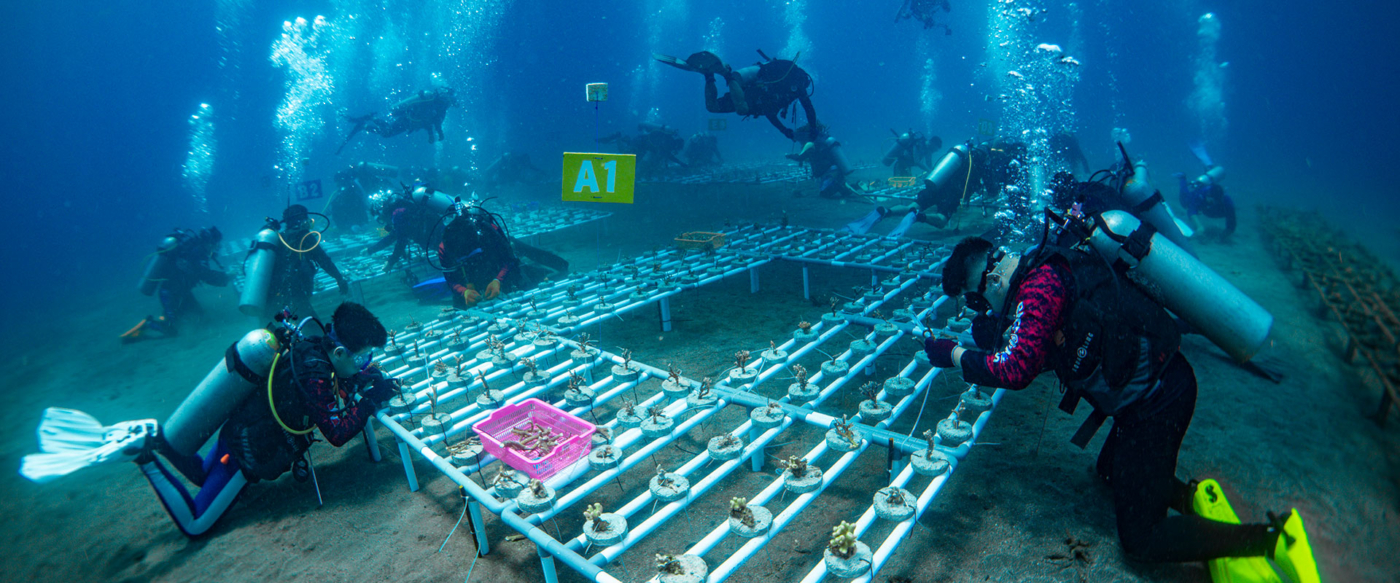 reeformers-Banner-01