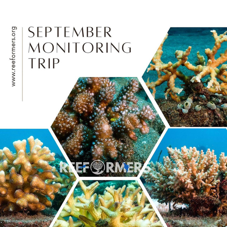 September-Monitoring_01