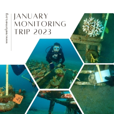 January Monitoring Trip 2023