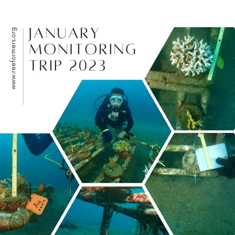 January Monitoring Trip 2023