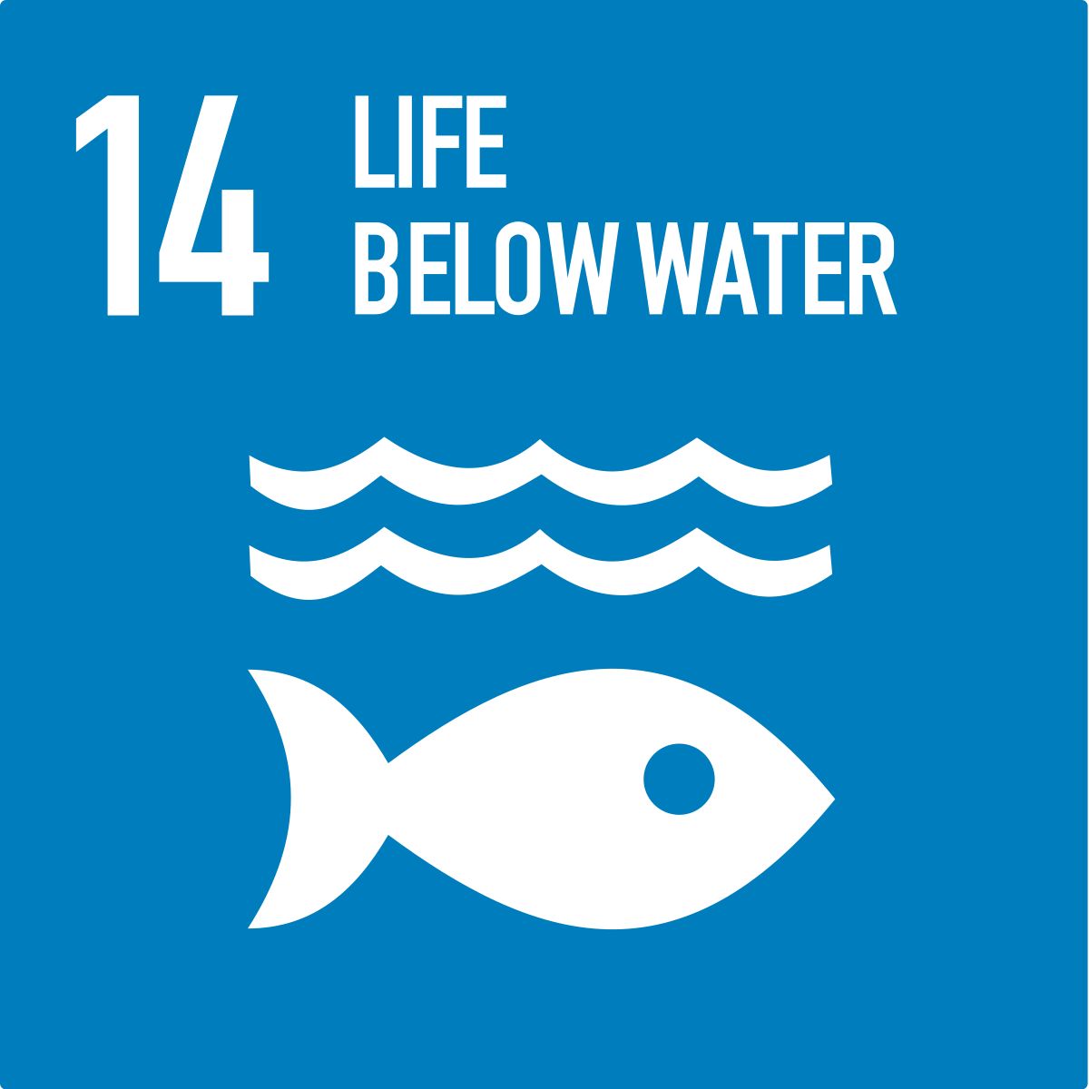 life bellow water
