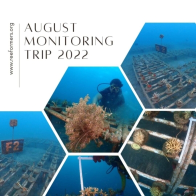 August Monitoring Trip 2022