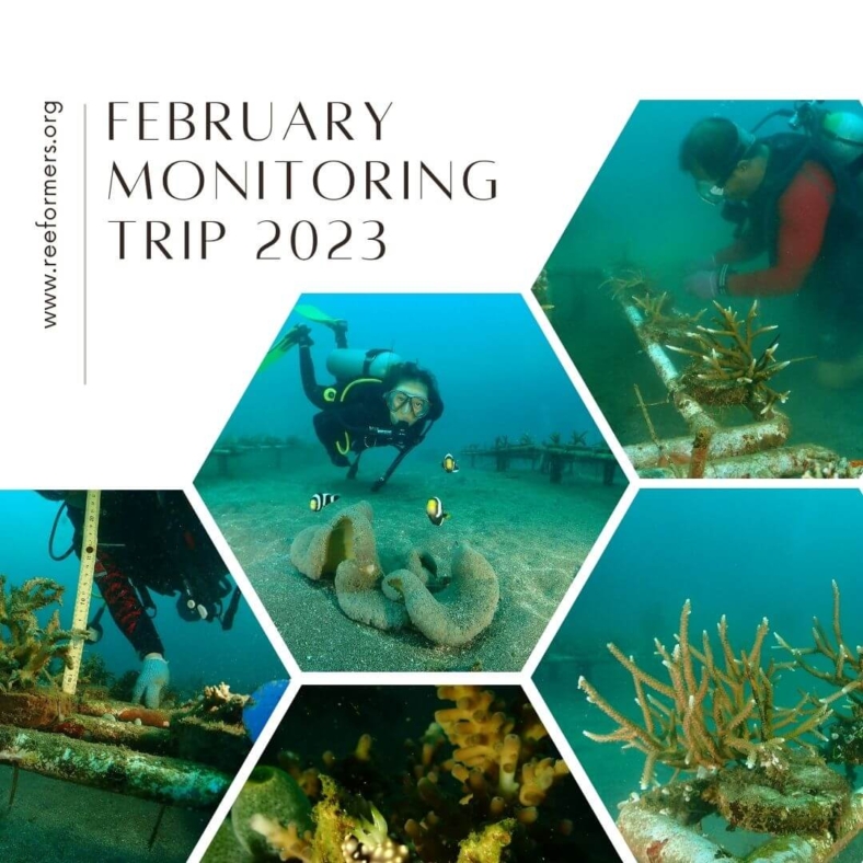 February Monitoring Trip 2023