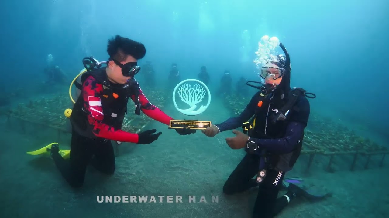 Reeformers X Mercede Benz