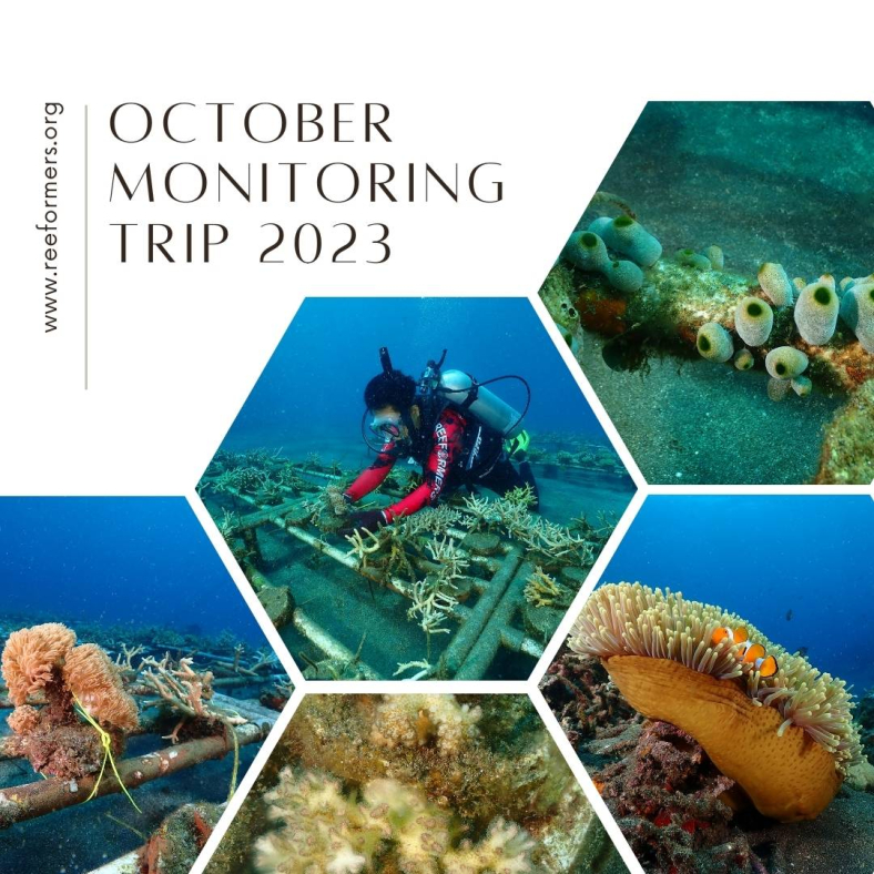 Oktober Monitoring Trip 1