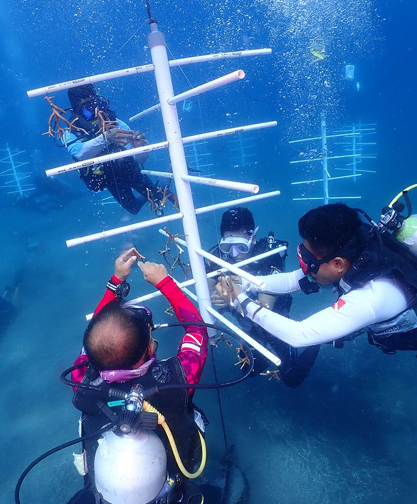 Upaya transplantasi karang oleh Reeformers di laut Manado terus berlanjut sejak didirikannya organisasi ini pada 2021
