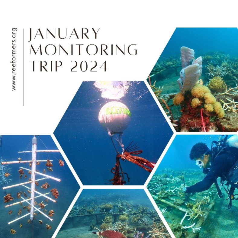 January Monitoring Trip1