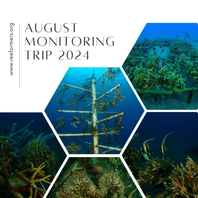 August Monitoring Trip
