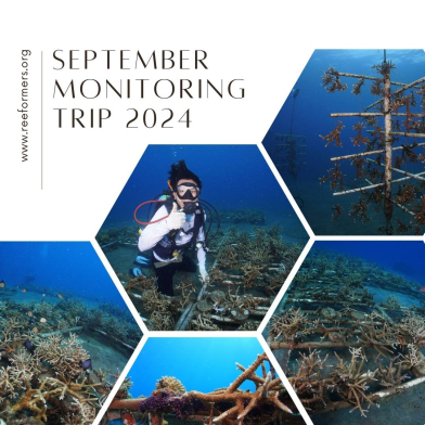 September Monitoring Trip 2024
