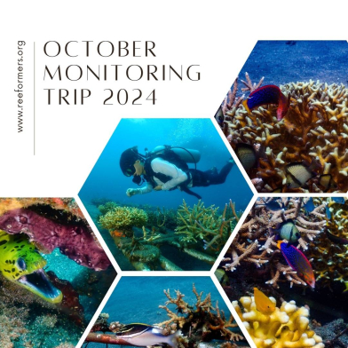 October monitoring trip 2024