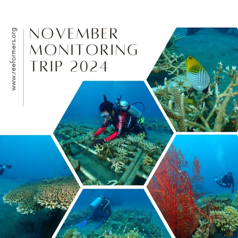 November monitoring trip 2024
