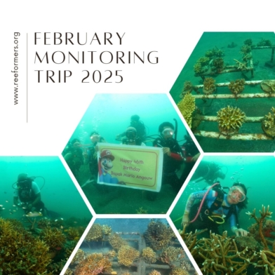 monitoring trip februari 2025 00001