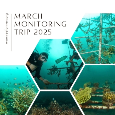 monitoring trip march 2025