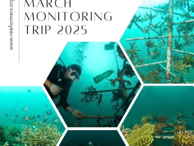 monitoring trip march 2025