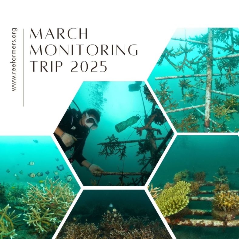 monitoring trip march 2025