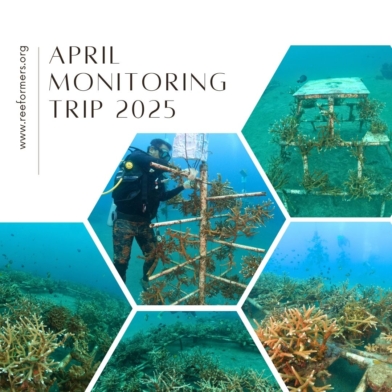 April Monitoring Trip 2025