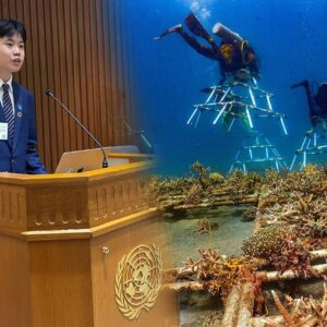 Coral Reef Conservation in North Sulawesi