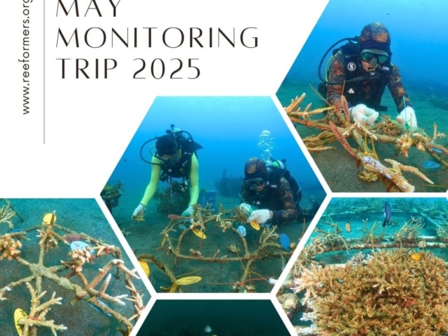 may monitoring trip 2025
