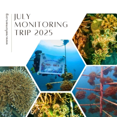 July monitoring trip 2025