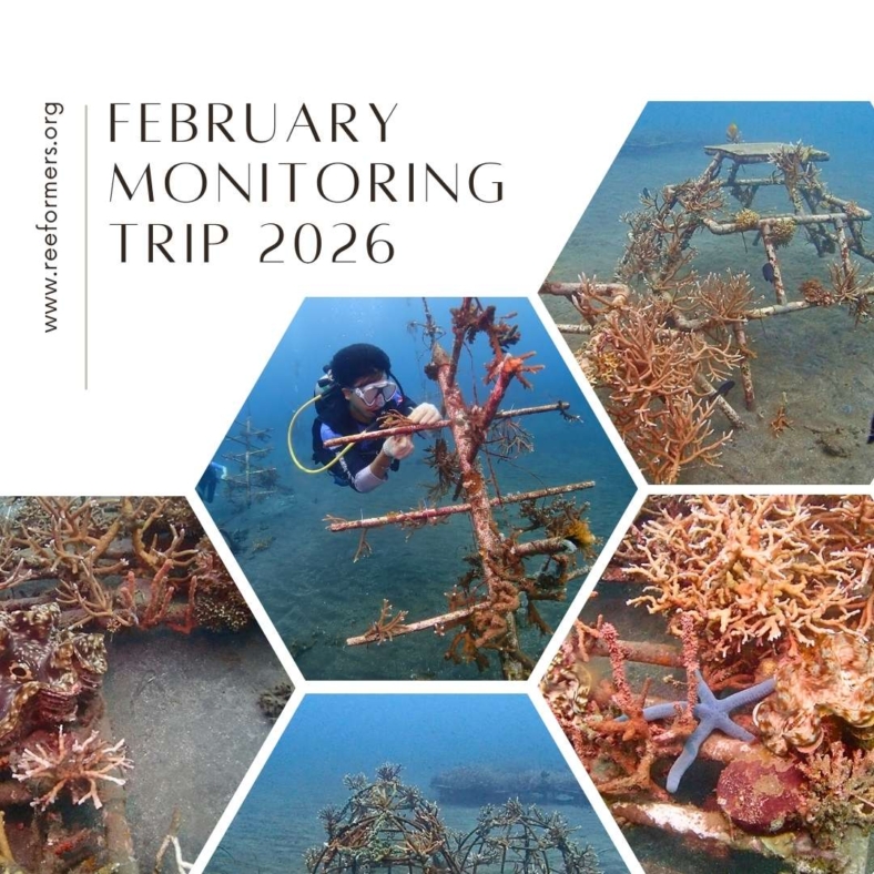 februari monitoring trip 202600001